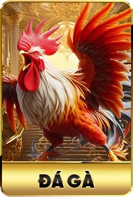 trang chủ 5 8kbet tro choi2